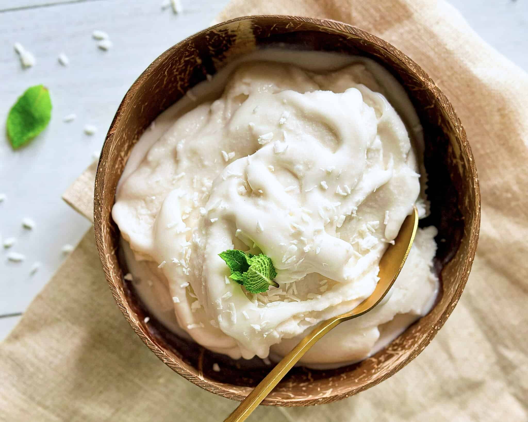 Hjemmelavet kokos sorbet