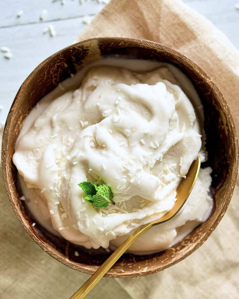 Hjemmelavet kokos sorbet