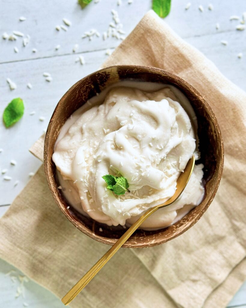 Hjemmelavet kokos sorbet